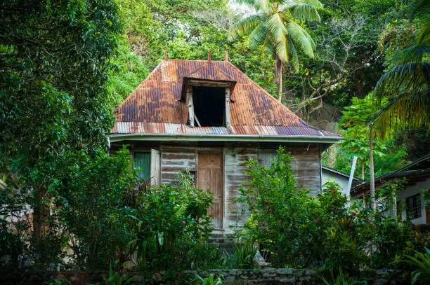 istock Wooden Shack Tropical Jungle 1207946761