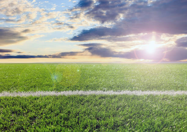 Grass field, fresh green lawn sport terrain, blue cloudy sky. Grass close up view, blur landscape and sundown background