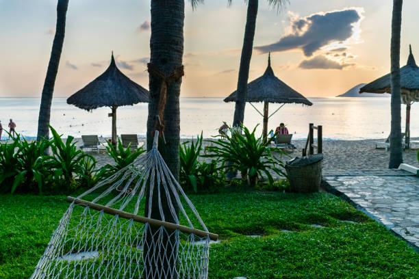 istock Mounting a hammock to a palm tree and umbrellas on the beach with sea 1207947137
