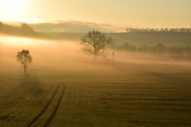 istock golden morning fog 1207949422