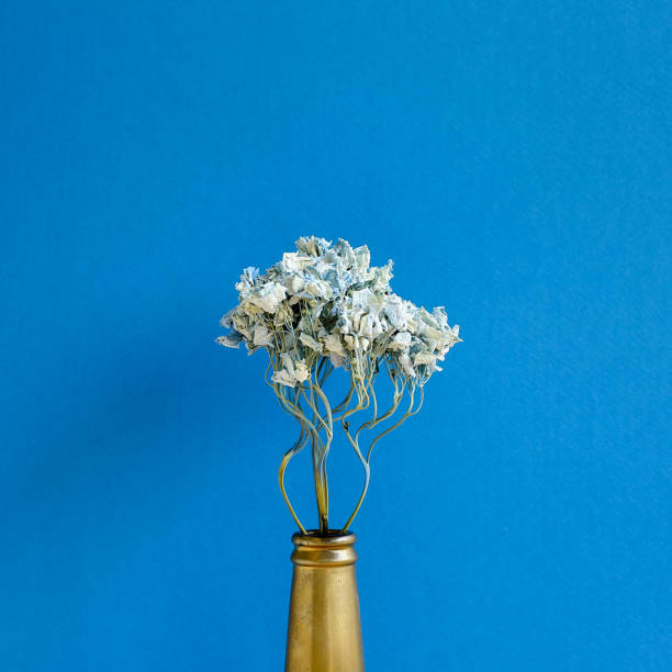 istock Dried blue hydrangea flower in golden bottle with blue background. Floral composition, copy space 1207951550
