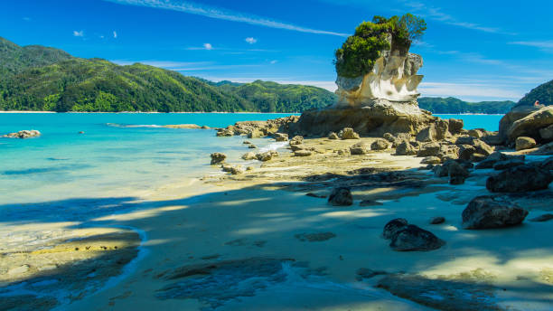 Sunny beach in New Zealand. Blue ocean and sky. Abel Tasman.