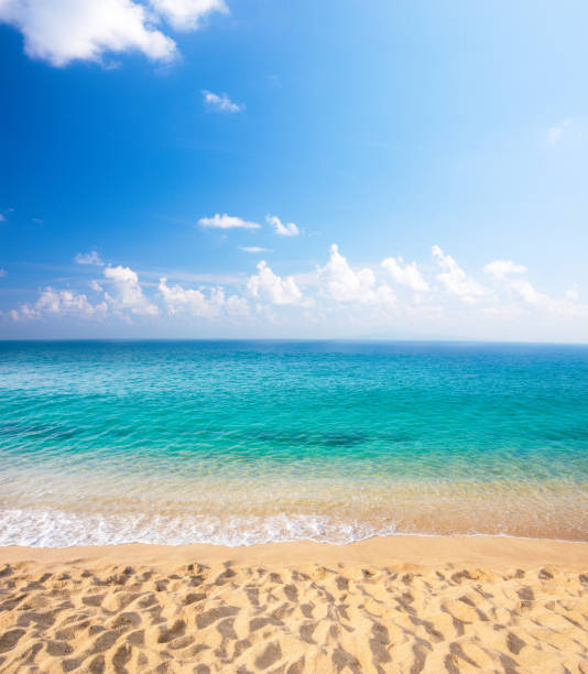 istock beautiful tropical beach and sea 1207969646