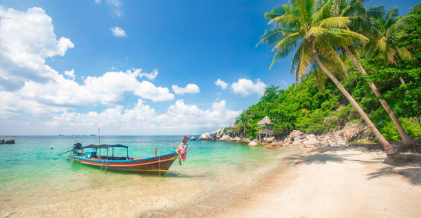 istock Tropical beach with coconut palm and longtail boat 1207969831