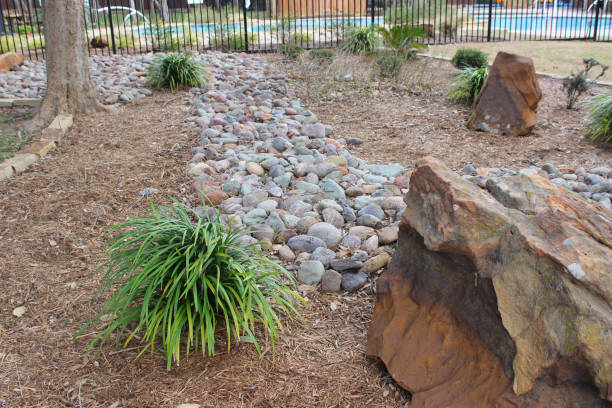 istock Landscaped garden with decorative stones, rocks and plants 1207971166