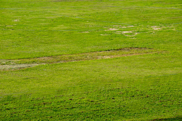 istock Football field lawn 1207973377