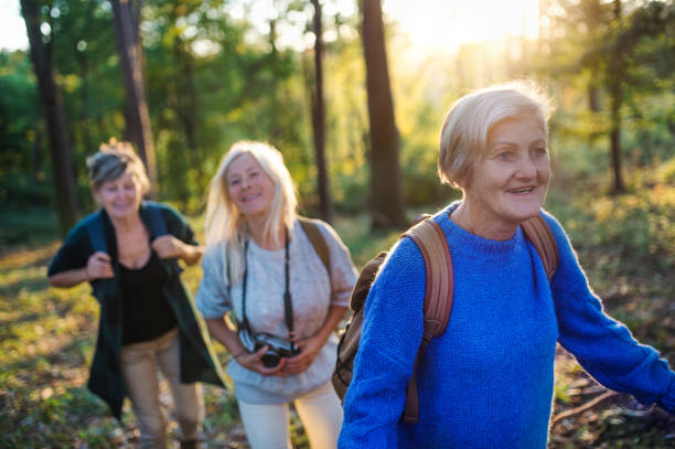 istock Senior women friends with camera walking outdoors in forest. 1207976208