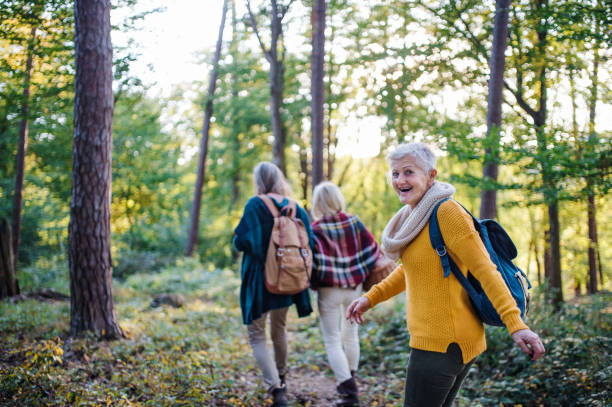 istock Senior women friends walking outdoors in forest. 1207976270