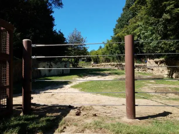 elephant enclosure at zoo with cables and poop and grass