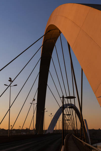 istock Bridge over the artificial lake in Brasilia. 1207981378