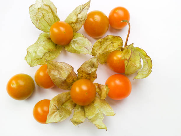 istock Fresh juicy winter cherries, cap gooseberry (physalis) on white background, 1207982910