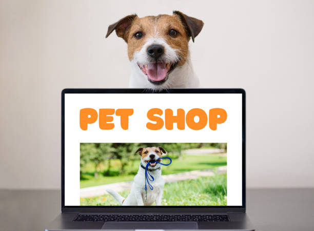 2,424 Pet Store Exterior Stock Photos, Pictures & Royalty-Free Images - iStock | Pet store front, Pet shop, Storefront 2,424 Pet Store Exterior Stock Photos, Pictures & Royalty-Free Images - iStock | Pet store front, Pet shop, Storefront