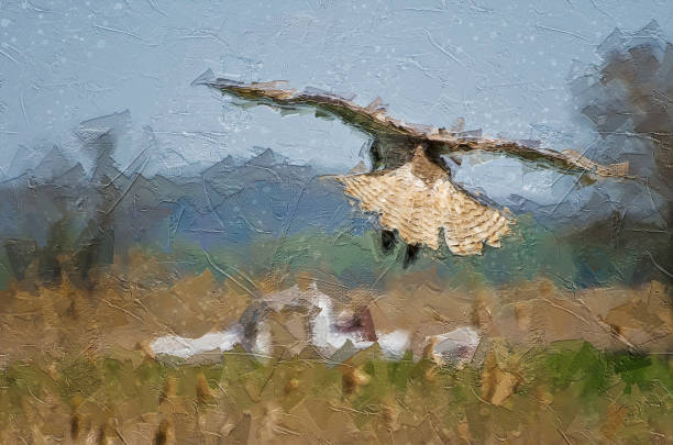 istock Impressionistic Style Artwork of a Young Red-Tailed Hawk Diving on its Prey 1207992650