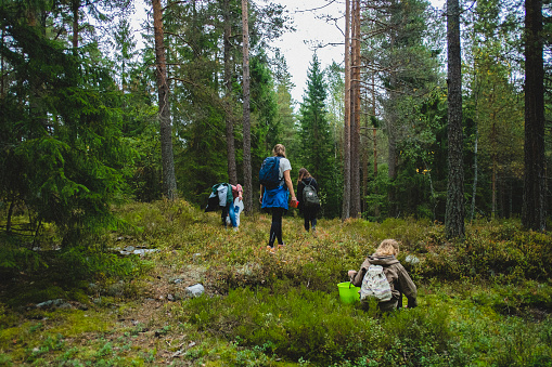 Oslo, Norway - September 07, 2013: A group of girls is hiking in Nordmarka looking for edible, boletus, mushrooms