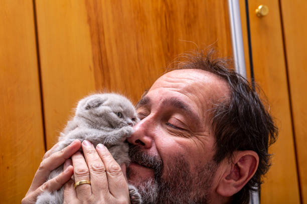 istock Man and real cat love, Newborn Scottish fold kitten 1207999408