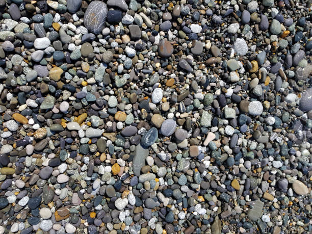 istock pattern pebbles on the beach, rubble on the seashore, top view 1208006620