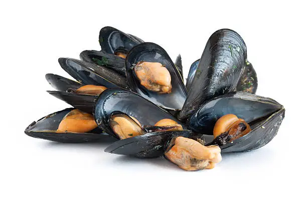 group of mussels boiled with garlic and parsley isolated on white background