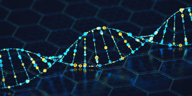 DNA Technology Digital DNA. Biotechnology concept. 3D render chromosome science genetic research biotechnology stock pictures, royalty-free photos & images