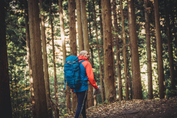 istock Man hiking in Japanese forest 1208007434