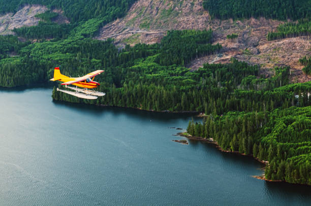 voler au-dessus de l’alaska - water jet photos et images de collection