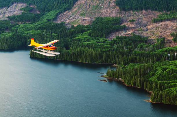 volare sopra l'alaska - alaska landscape scenics wilderness area foto e immagini stock