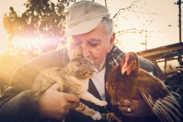 istock Senior Farmer holding chicken and cat in Hands 1208009003