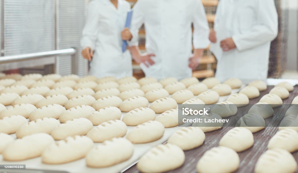 Raw bread is making on the automatic equipment line in the bakery. Raw bread is making on the automatic equipment line in the bakery manufacture . Belt Stock Photo Raw bread is making on the automatic equipment line in the bakery. Raw bread is making on the automatic equipment line in the bakery manufacture . Belt Stock Photo
