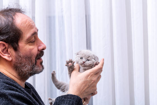 istock Man and real cat love, Newborn Scottish fold kitten 1208017535