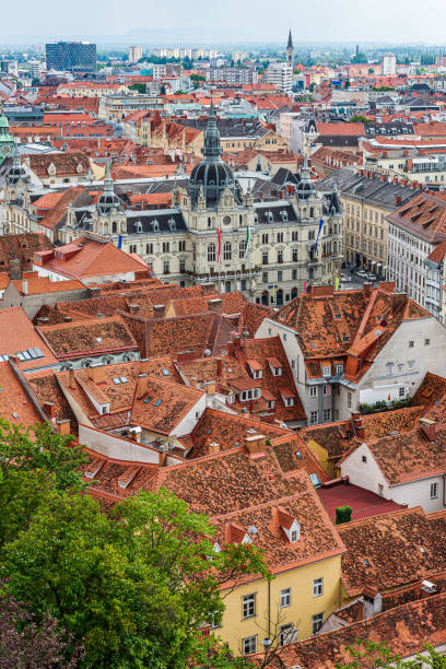 istock Aerial view of Graz 1208018801