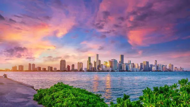 the skyline of miami while sunset