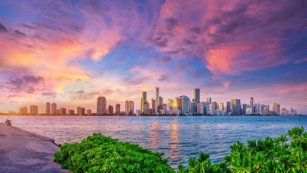 miami - miami florida skyline panoramic florida zdjęcia i obrazy z banku zdjęć