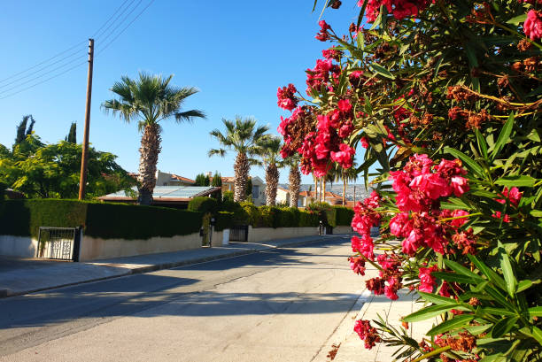 istock Flowers on the street 1208022049