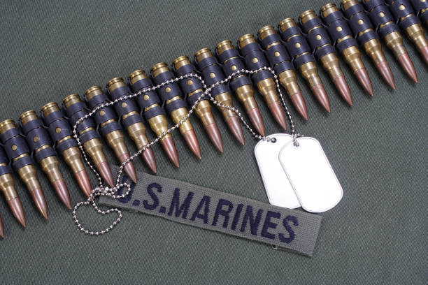 istock ammunition belt and dog tags on US MARINES uniform background 1208022249