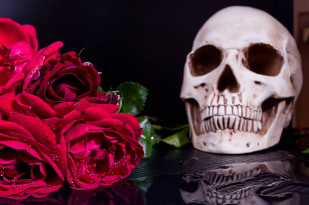 istock Skull and flowers. Human skull and red roses. 1208022421