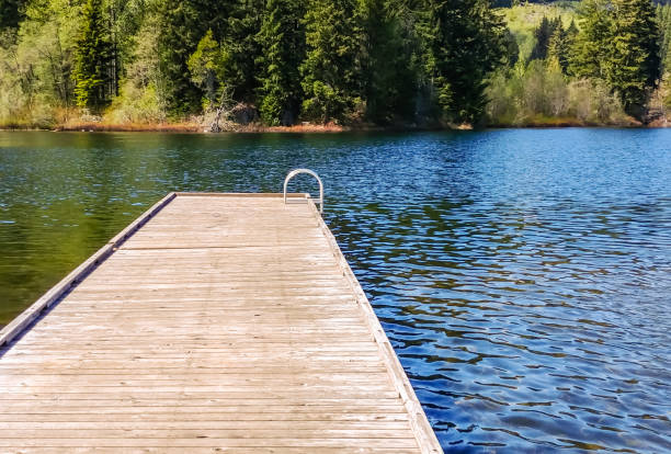 istock Empty wooden dock on water near shore. 1208024734