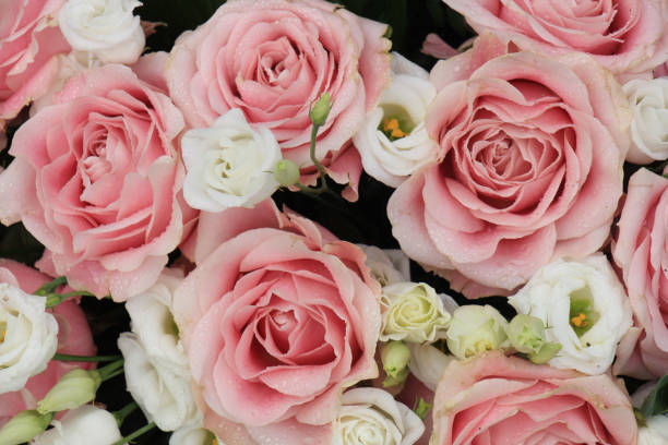 istock Pink and white wedding flowers 1208029901