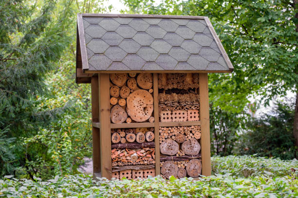 istock Insect hotel house in garden 1208029982