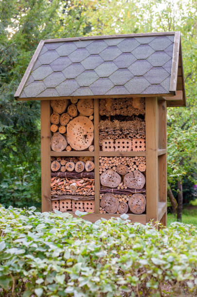 istock Insect hotel house in garden 1208030010