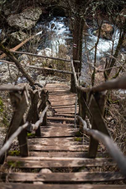 istock Winding wooden bridge over a river broken symmetry natural explore travel copy space 1208033521