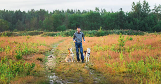 istock Young guy training dogs in countryside at nature 1208037160