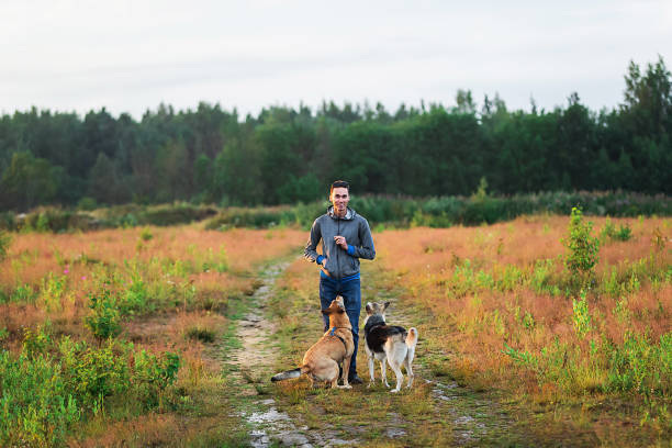 istock Calm young man walking with dogs at nature 1208037168
