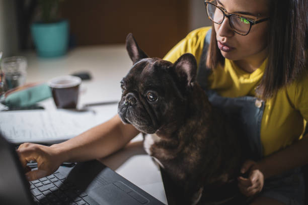 istock Young woman studying at home 1208045976