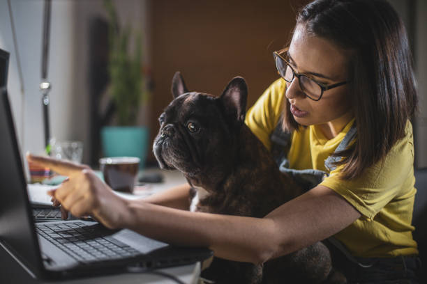 istock Young woman studying at home 1208045980