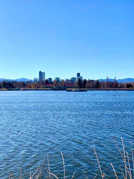 istock Downtown Denver from City Park 1208047133