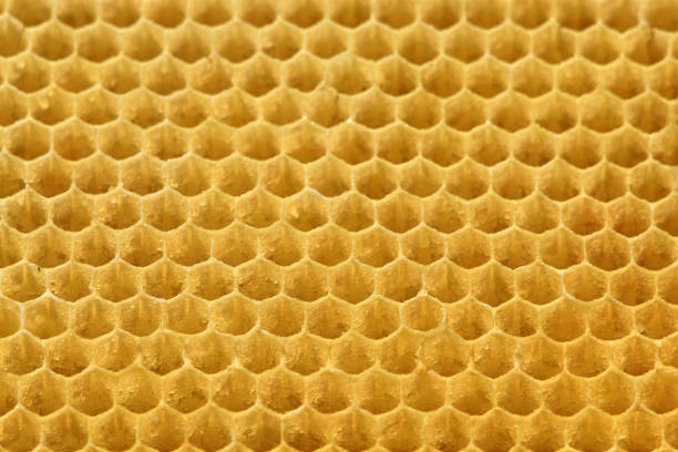 istock Background texture and pattern of a section of wax honeycomb 1208047879