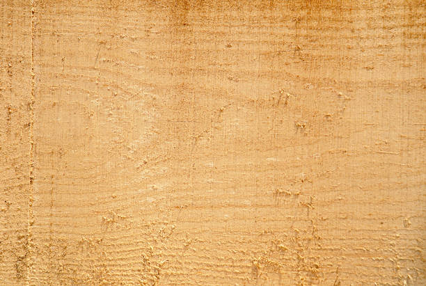 istock Texture of freshly sawn wood, background, closeup 1208049835