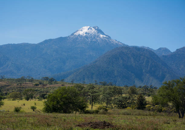 istock The snow of colima, view from the mallets. 1208059759