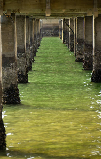 istock Ocean water under a wood bridge 1208061595