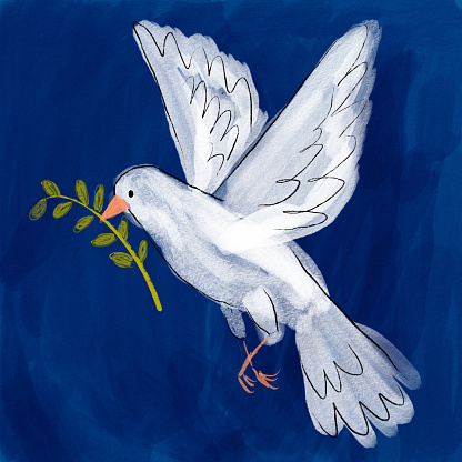 hand drawn dove holding olive branch