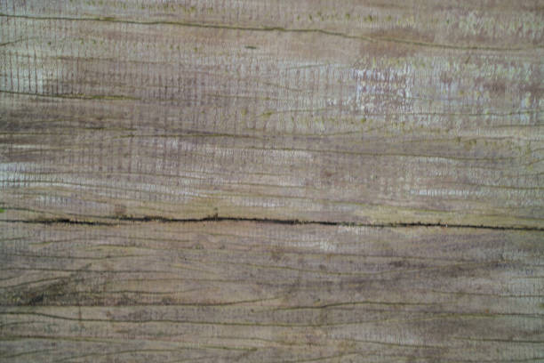 Abstract art antique wood texture decoration background
